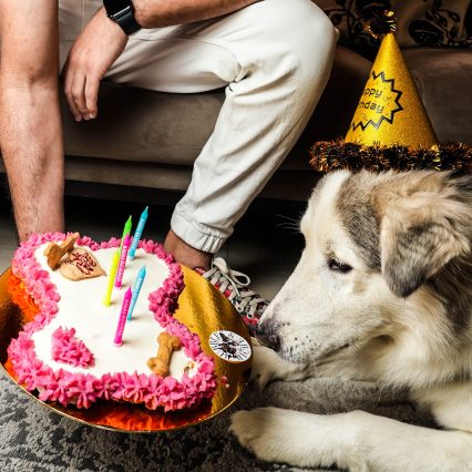 Wishbone Cake