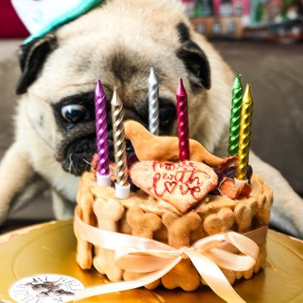 Happy Pupday Cake