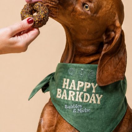 Happy Barkday Bandana for Dogs