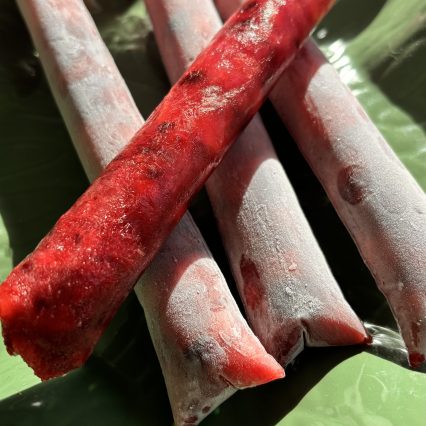 Pupsicles