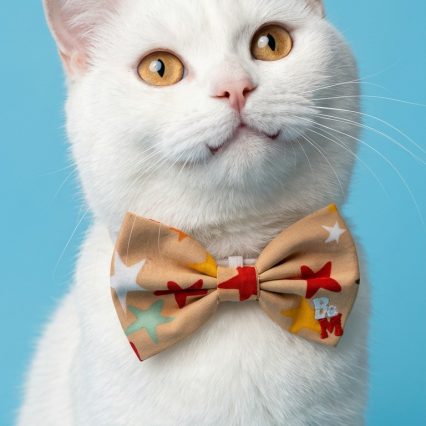 Cat / Dog Bows